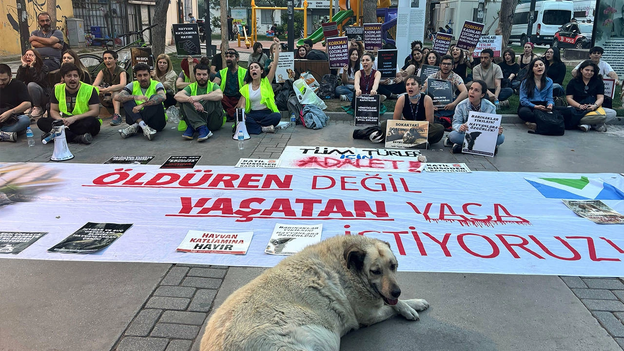 Anayasa Mahkemesi'nin Hayvan Katliamını Onaylayan Kararı İzmir'de Protesto Edildi