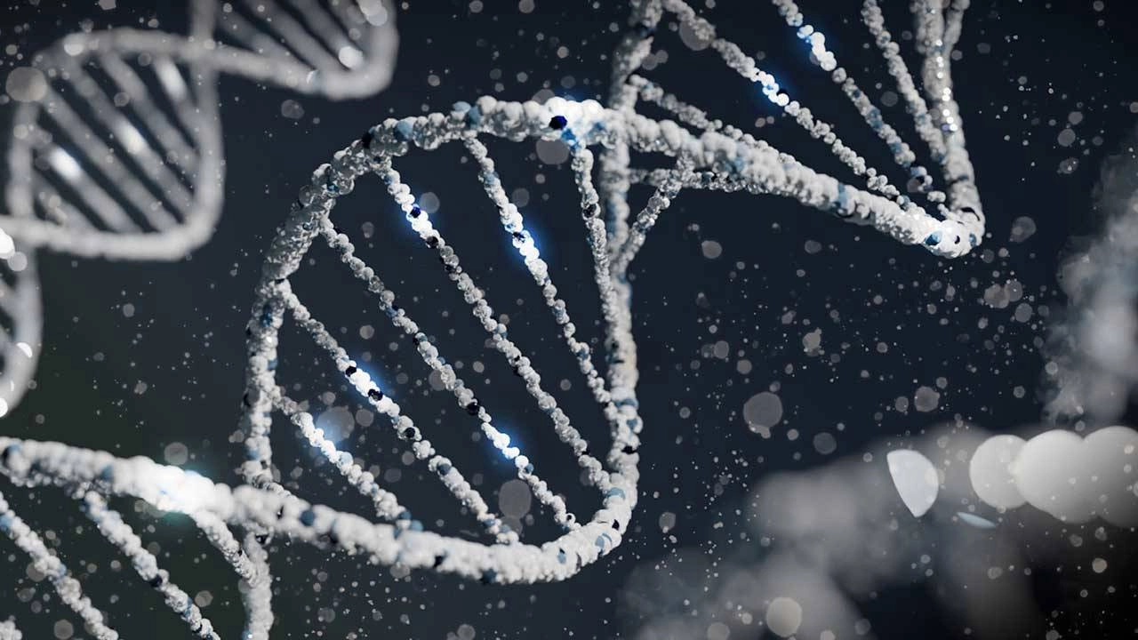 Antik DNA: Tarih kitaplarını altüst eden genetik sırlar!