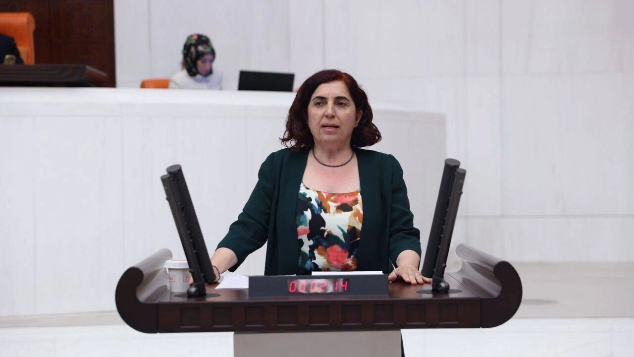DEM Partili Çelenk, Instagram sansürüne karşı meydan okuyor: Soru önergesi hazır!