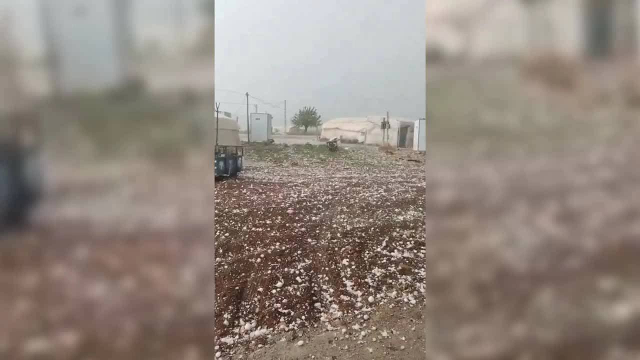 Dolu Felaketi Tarımı Vurdu: Ürünler Yok Olma Tehlikesiyle Karşı Karşıya!
