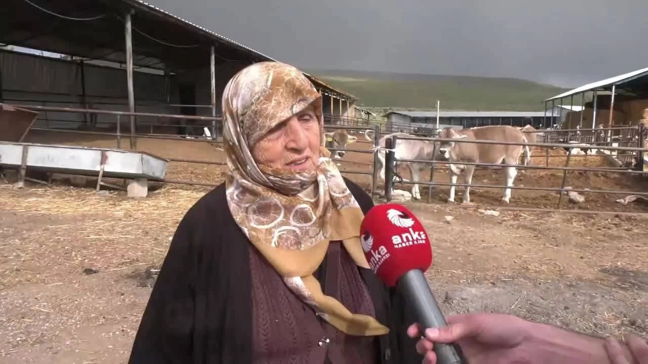 Emekli maaşıyla yem borcunu ödeyen 74 yaşındaki Konyalı çiftçi isyan etti: "Bu nasıl adalet!"
