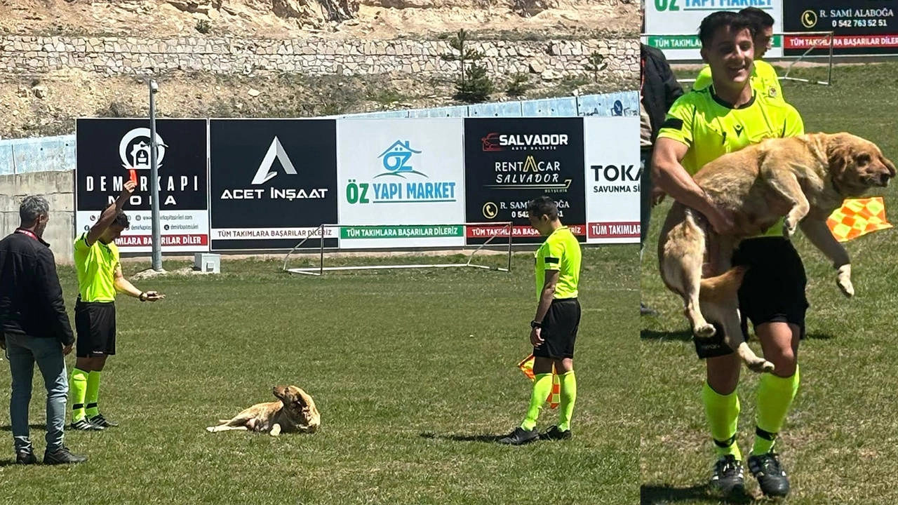Hakem, Konya'da sahaya giren köpeği kırmızı kartla cezalandırdı ve sevgiyle sahadan uzaklaştırdı!