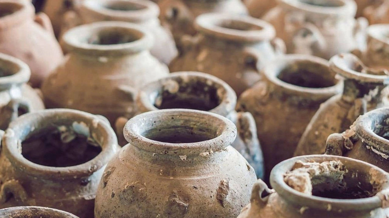 İnsan evrimi üzerine paleoproteomik araştırmalar: Sınırları zorlamak için atılan cesur adımlar!