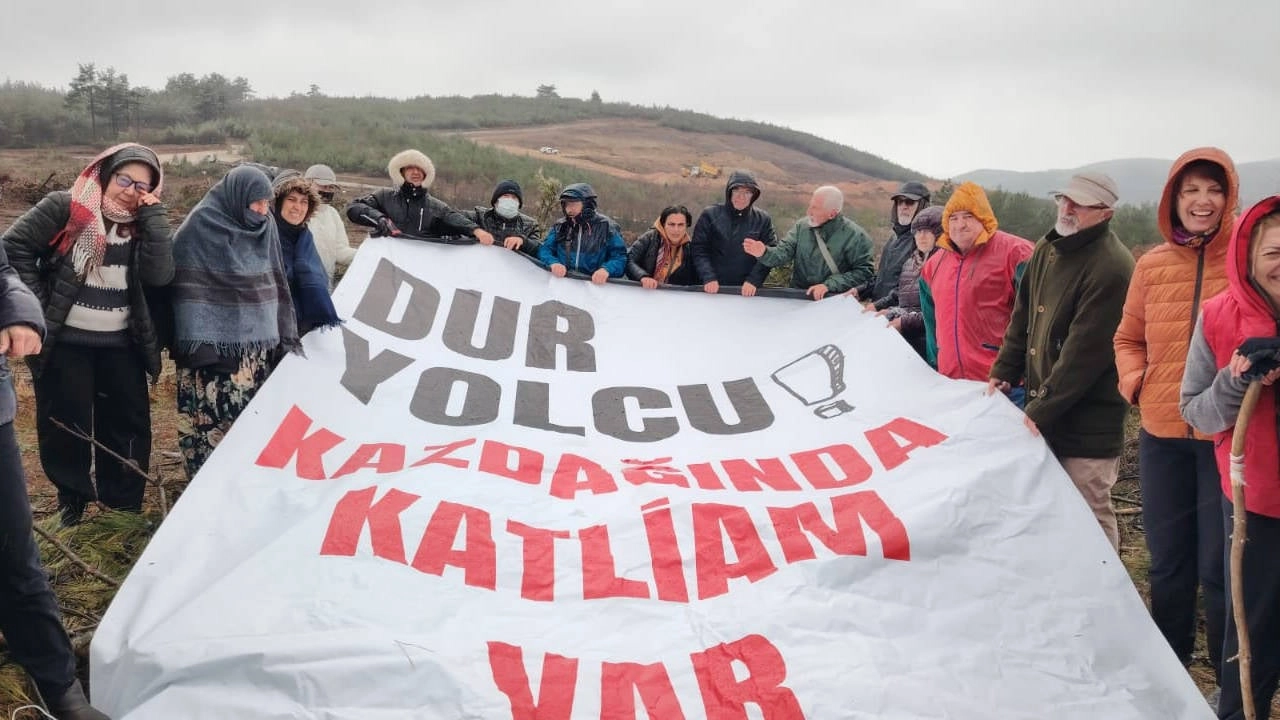 Kazdağları'nda vahşet: 1 milyondan fazla ağaç yok edildi