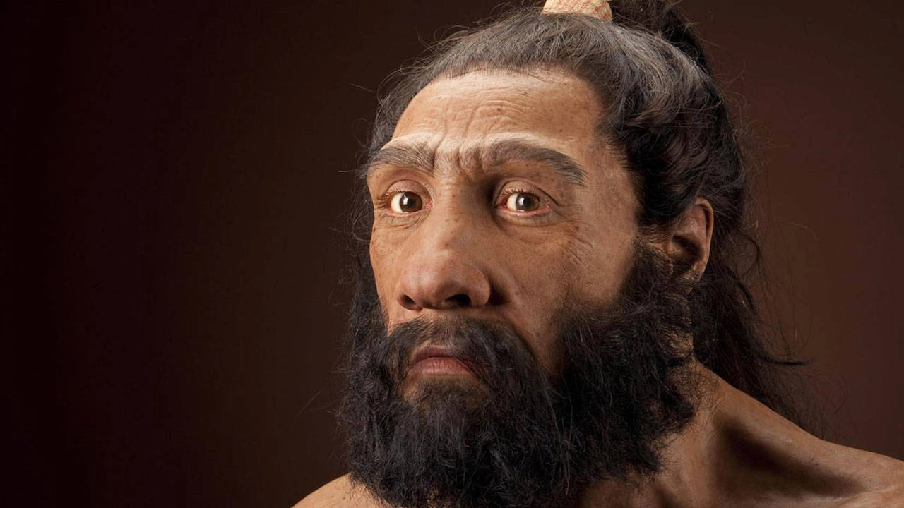 Neandertallerin İzinde: Modern İnsanların Yükselişi ve Geçiş Döneminin Sırları