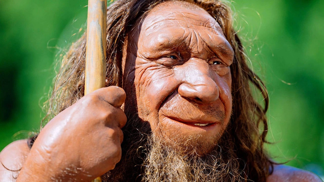 Neandertallerin Neden Yok Olduğuna Dair Sır Perdesi Aralanıyor