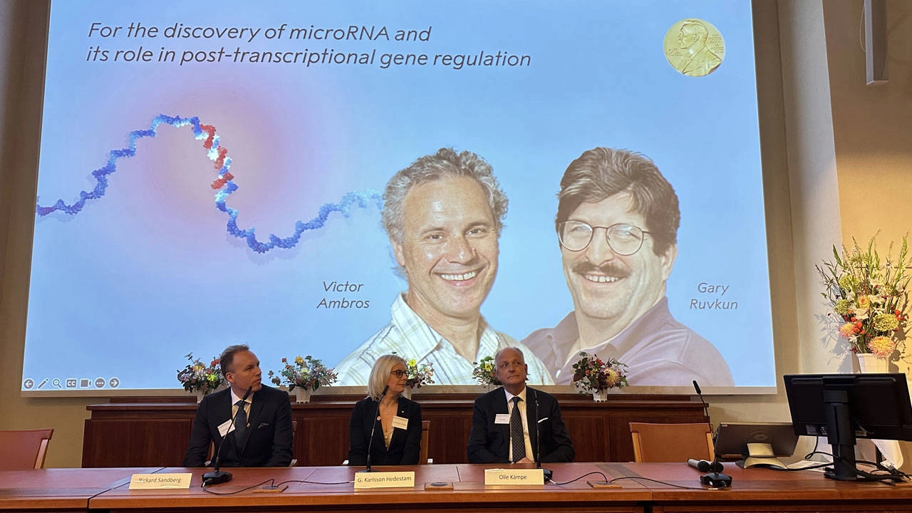 Nobel Tıp Ödülü 2024 Kazananları Açıklandı: Yine De Beklenenin Dışında!