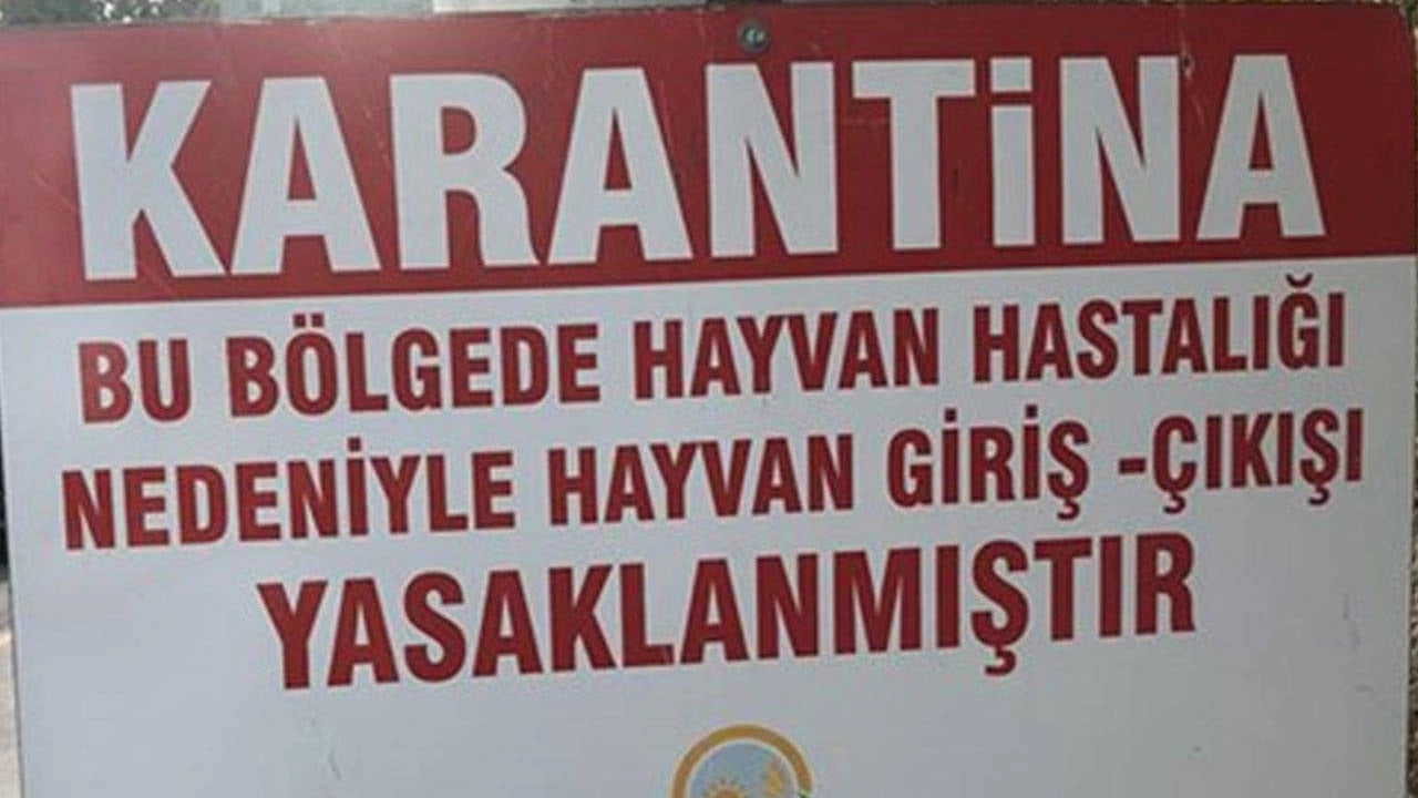 Şap salgınına karşı tedbir: Balıkesir'de 15 mahalle karantinaya alındı