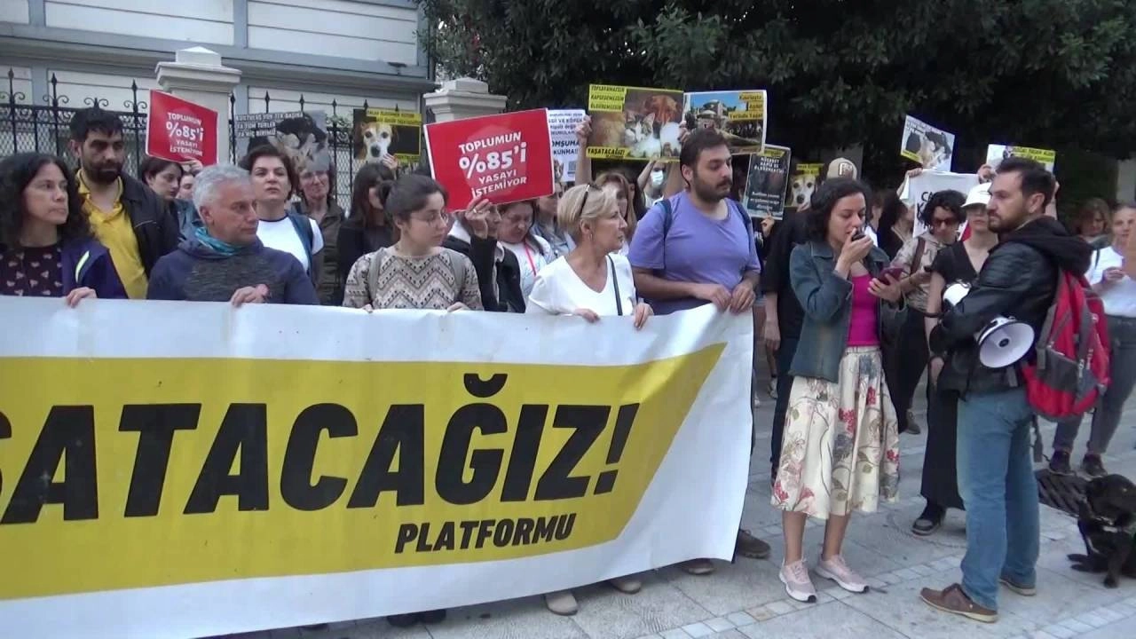 Sokak Hayvanları İçin Mücadele Devam Ediyor