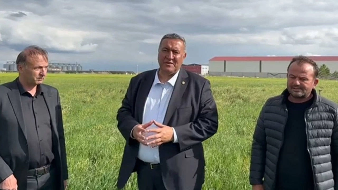 TMO, Çiftçinin Değil İthalatın Peşinde!