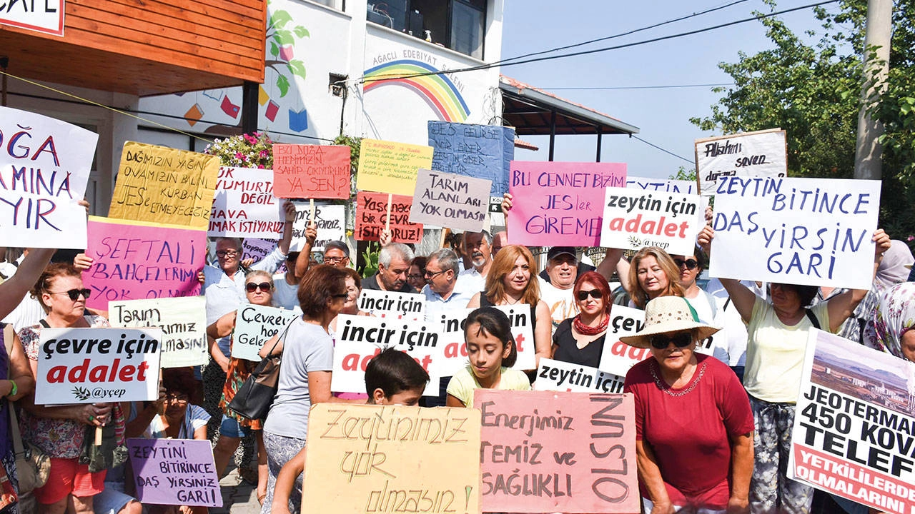 Zeytinlikler ve İncir Bahçeleri Tehdit Altında!